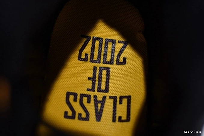 Air Anthony Class 2002 414571-035 13 of Carmelo Jordan 0717